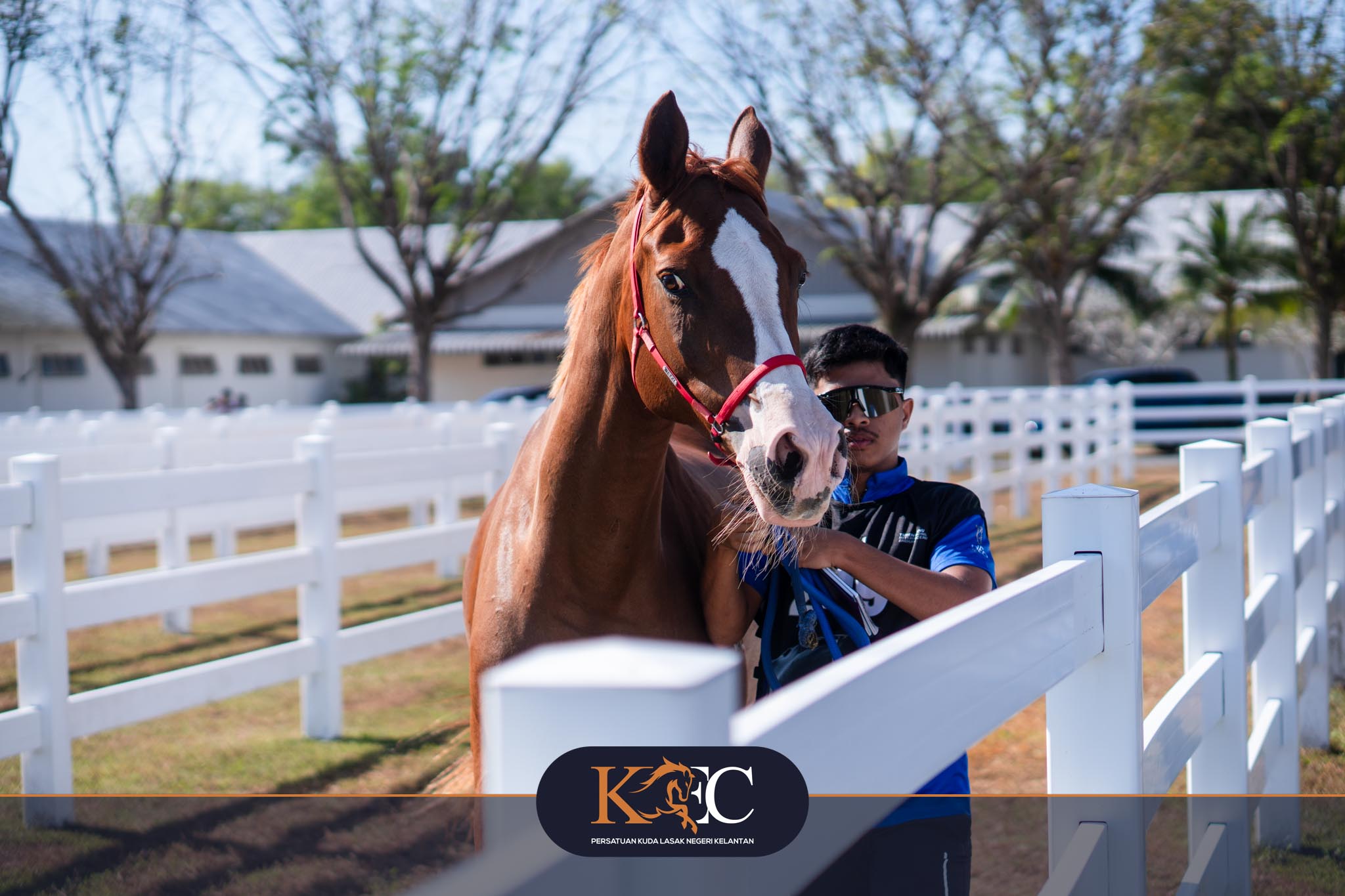 rtes-endurance-ride-feb-2026 - Gambar 1